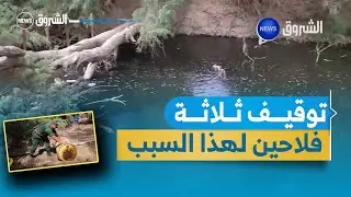 الشلف | توقيف ثلاثة فلاحين يقومون بسقي حقول الرمان و الحمضيات بمياه الصرف الصحي