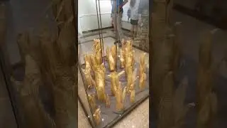 The exhibition 2022 /Выставка. Шолохов-центр 2022