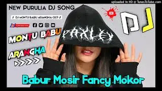 Babur Mosir Fancy Mokor // New Ho Munda Dj Song 2025 // New Ho Munda Video Song // Dj Montu Babu Ckp