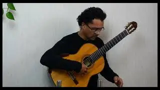 Concierto de Aranjuez, I. Allegro con spirito, Roland Schlieder