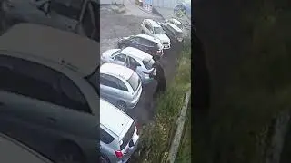 Ужасающая атака медведя на парковке 😱🐻