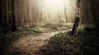 Splet melodija narodnih, Južna Srbija