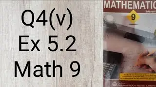 Class 9 Maths Chapter 5 || 9th Class Math Ex 5.2 || Factorization || Q4(v) || Ocean of Knowledge