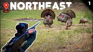 2 TURKEYS DOWN! (We called them ACROSS STATE LINES!)
