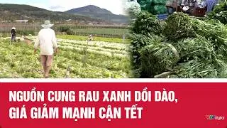 Nguồn cung rau xanh dồi dào, giá giảm mạnh cận Tết Bính Ngọ 2026 | VTV24
