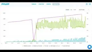 How to build your custom report?