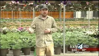 Made in the Northwest - Lima Greenhouse