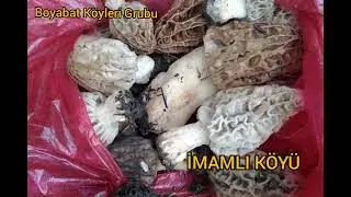 İmamlı köyü