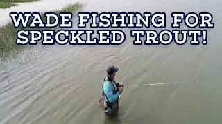 COOL SPECKLED TROUT WADE FISHING VIDEO! Let&rsquo;s Fish #7 SouthEAST San Luis Pass, Texas speckled trout