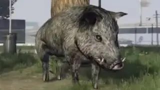 Gta 5 Michael the Boar