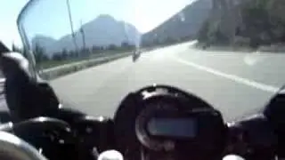 ARTEMISIO R1 - FZ6