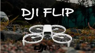 DJI Flip