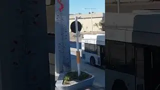 Phoenix AZ light rail.. #phoenixhomes