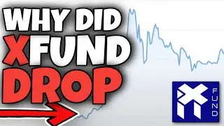 WHY DID XFUND DROP IN PRICE AFTER THE PEAK??? (PRE-SHIBARIUM)