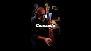 Cumandé - Caña Brava (Bass Cover)