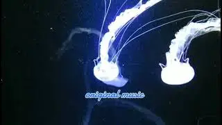 #120 / spacewalk / ROLAND JD-Xi