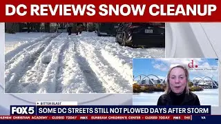 DC reviews snow cleanup efforts