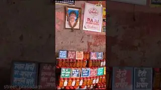 Rest in Peace 🙏 #streetprasadam #allindiavlog