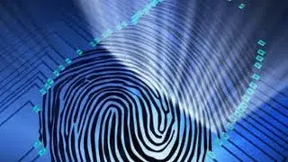 كيف تستطيع المحكمة اثبات نسب طفل لشخص متوفى