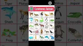 CARNIVOROUS ANIMALS. #shorts#trending#love#carnivorous