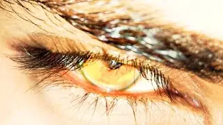 ✞ Seductive Hunter eyes + long lashes