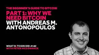 Beginner&rsquo;s Guide #1: Andreas M. Antonopoulos on Why We Need Bitcoin