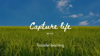 Important elements to capture from an event of life