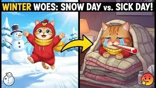 Cute Cat Family Plays in Snow & Kitten Gets Sick! 😿❄️