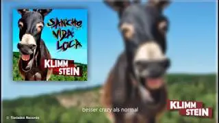 Klimmstein 