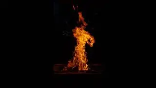 Campfire Sound 1 Hour 🔥 Relaxing Fire Sounds | No Music