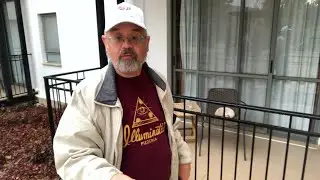 CATS OF GINOSAR (VLOG #275) &ndash; Nof Ginosar, Israel &ndash; 2025-11-14