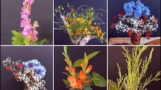49.10🍃 Floral Opulence: Dazzling Elegance in the Top Five Most Beautiful Flower Designs