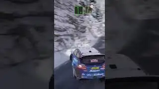 WRC 8 Funny Moments
