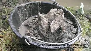 Вот так покапал золото... Самородки. Минералы. Аукцион