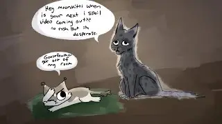 Коты-воители 20 вопросов!