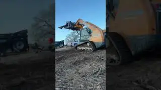 Tree service work ranch clearance