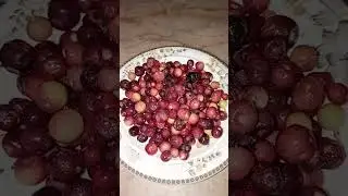 Fresh falsa fruit #viral #shots #viralvideo