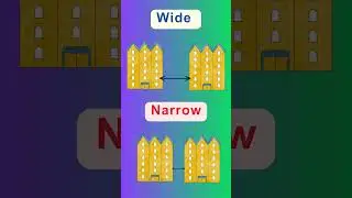 Wide واسع ❌ Narrow ضيق