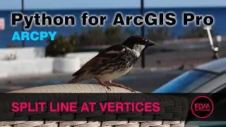 Split Line at Vertices (Data Management) on a Basic License with ArcPy