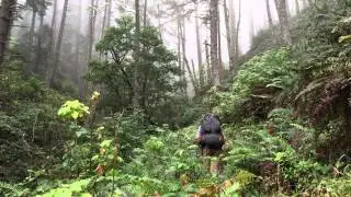 Lost Coast Backpacking Trip in Sinkyone Wilderness