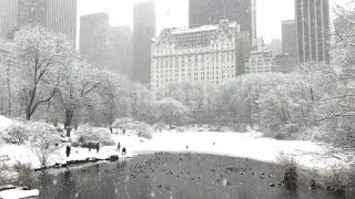 Snowing in Central Park New York City part 1