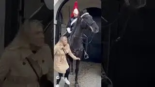 ☝️SUBSCRIBE☝️ If the horse doesn&rsquo;t like you #KingsGuard #HorseKick #POV #EpicFail