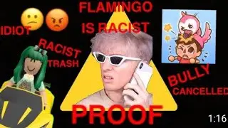 FLAMINGO IS RACEST! (PROOF)