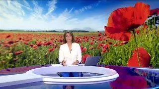 Los bellos campos de amapolas de Castilla y Le&oacute;n