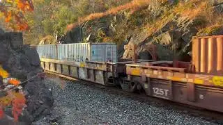 NBD CSX #3388 stacktrain @ Hudson Riverline MP51  11/25