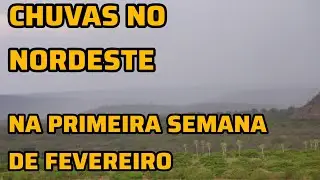 COMO VAI FICAR AS CHUVAS NA REGIÃO NORDESTE,,... NA PRIMEIRA SEMANA DE FEVEREIRO..#clima#tempo#chuva