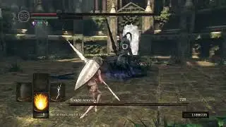 Knight Artorias NG+6 Demon's Spear