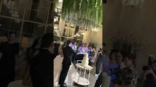 When Cutting Cake Becomes the Sweetest Battle Ever 🎂😂💍 @BahtiWolf