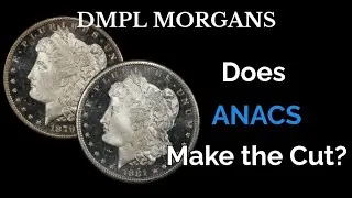 DMPL and PL Morgan Dollars