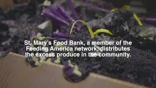 Food Rescue - St. Mary's Food Bank